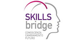 Skills Bridge On Line